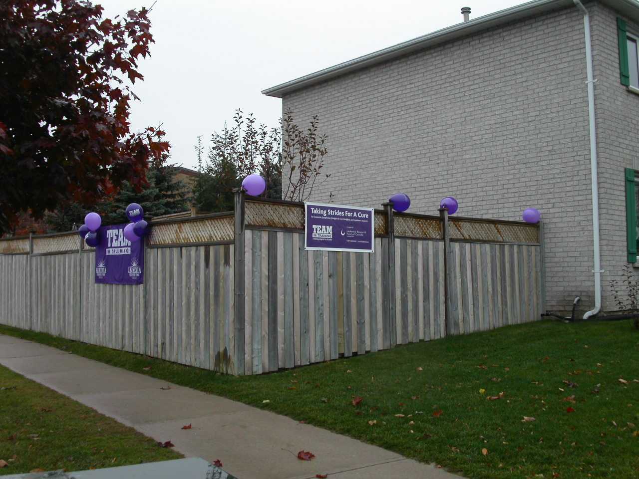 FR Fencesigns.jpg (124117 bytes)