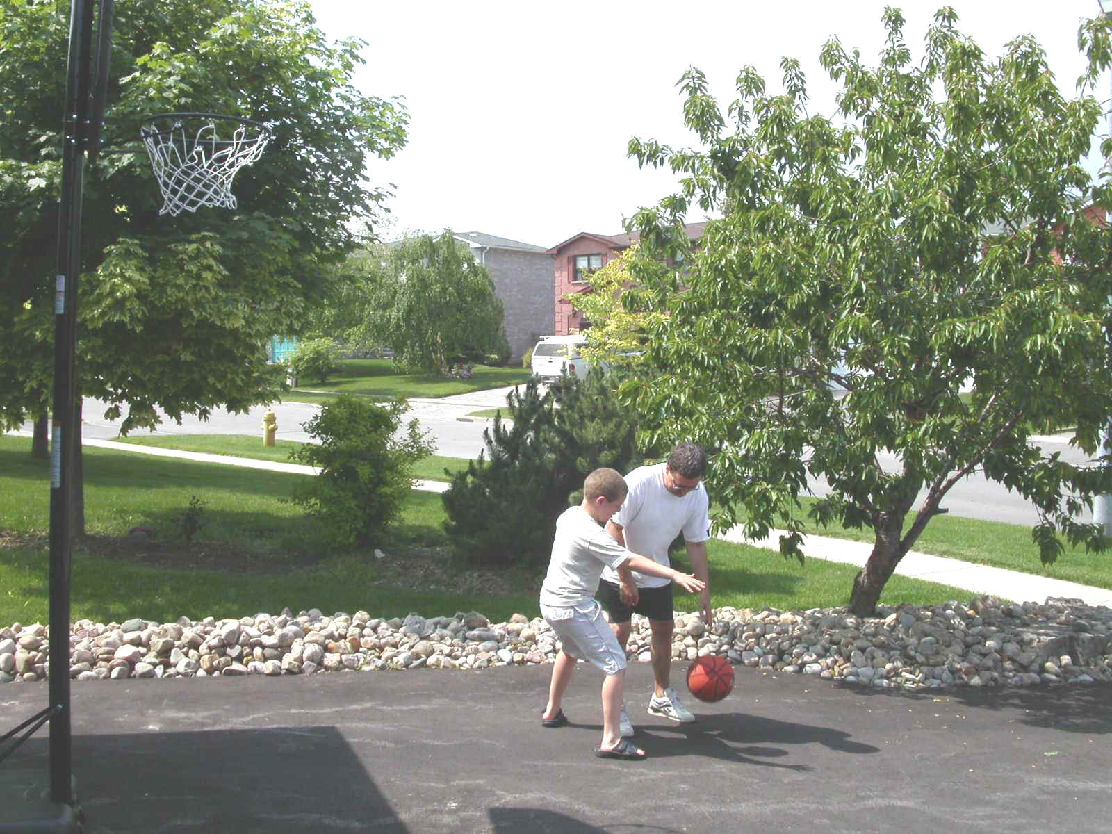 bball1.jpg (218857 bytes)
