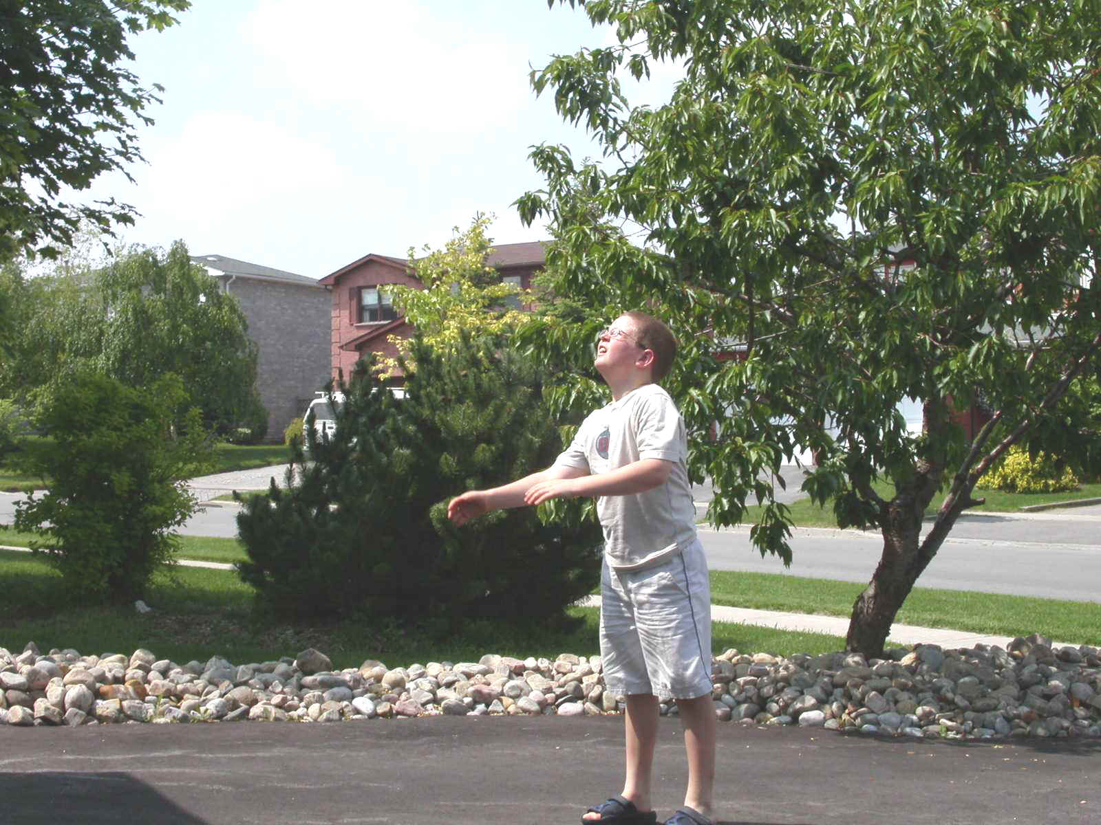bball2.jpg (205457 bytes)