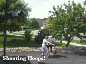 bball1.jpg (218857 bytes)