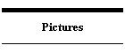Pictures