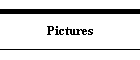 Pictures