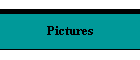 Pictures